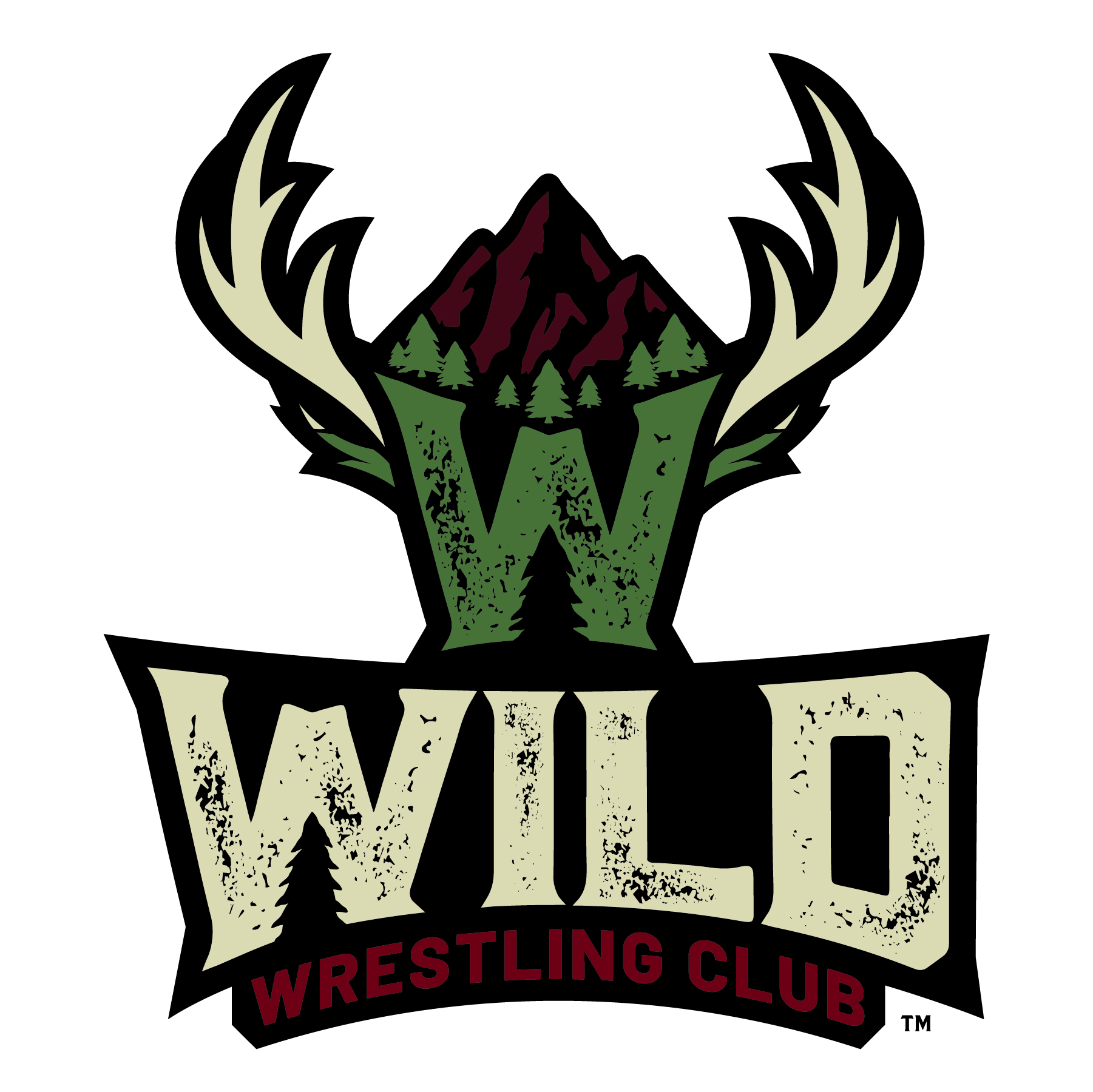 Wrestling action